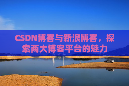 CSDN博客与新浪博客，探索两大博客平台的魅力